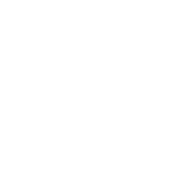 BS-logo-white